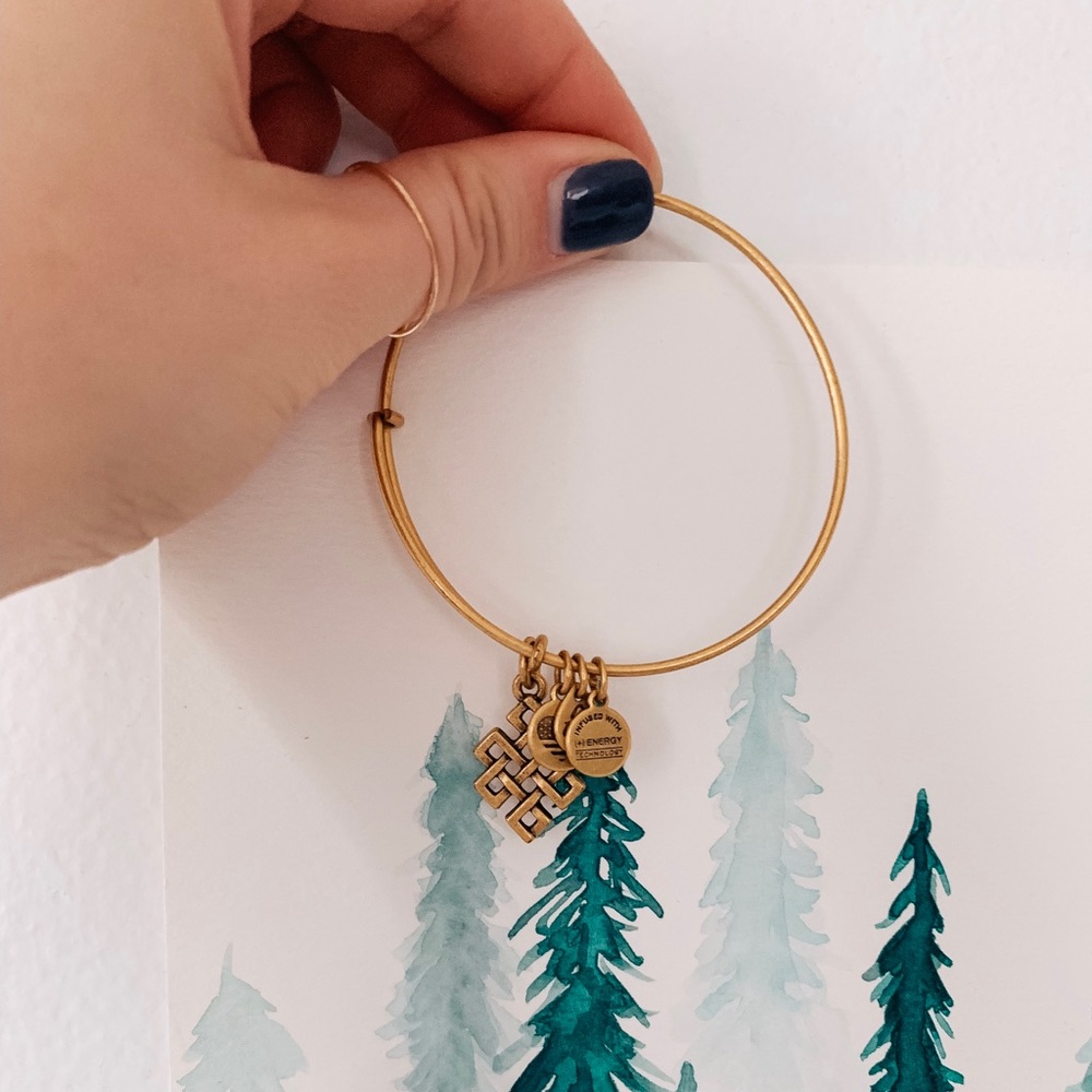 alex and ani bracelet